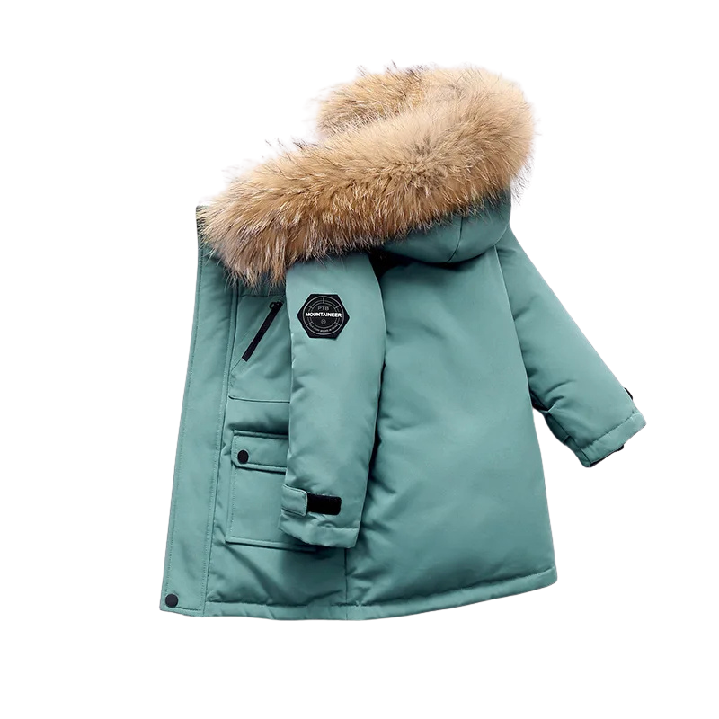 ArcticCub