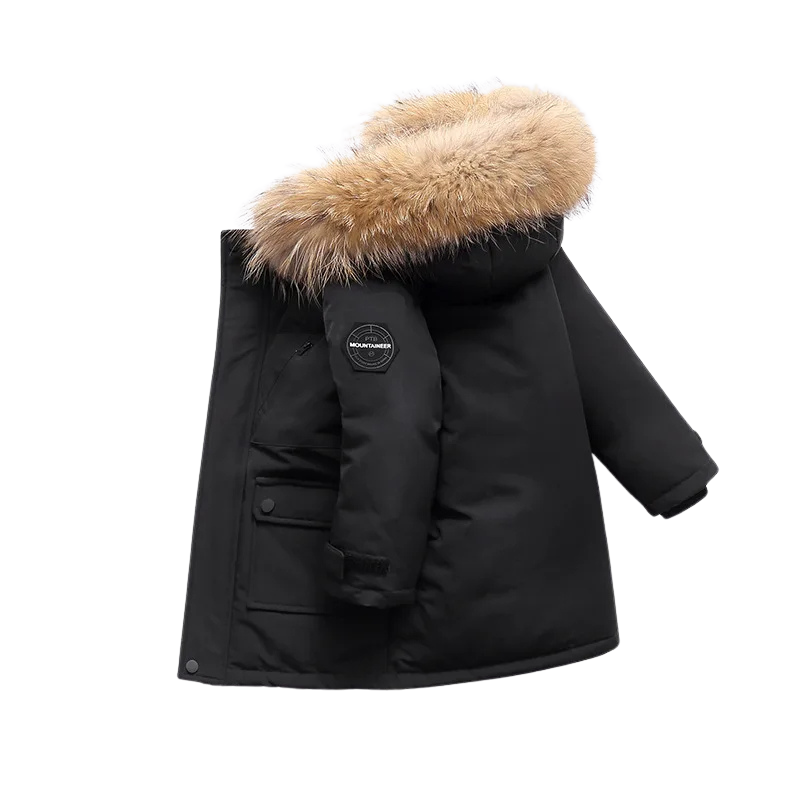 ArcticCub