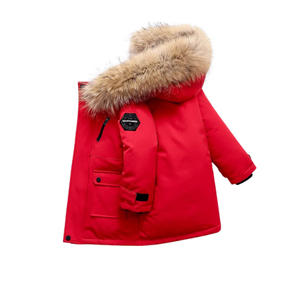 ArcticCub