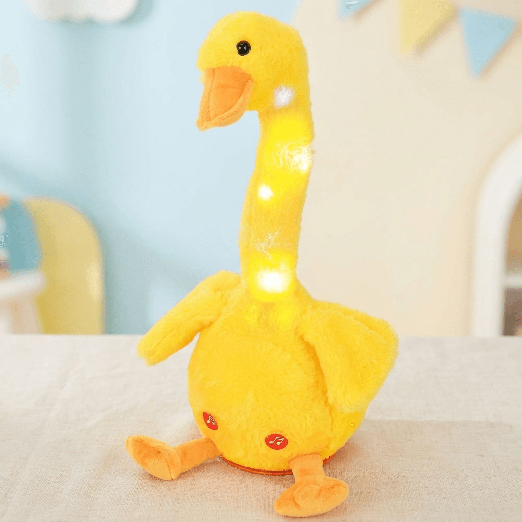 EchoDuck