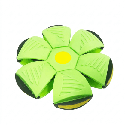 MorphoFly